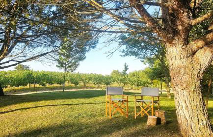 QUINTA DO RIBEIRO Garden House - Foto 34