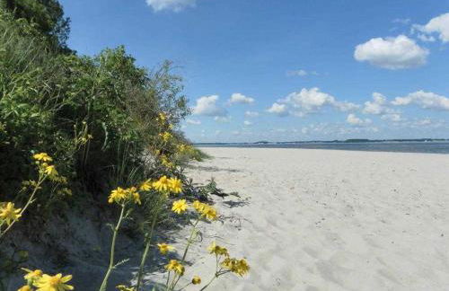 Barendorf Whg Föllenbach - Photo 17