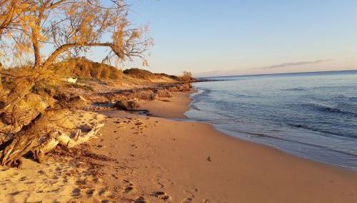 Résidence Terre et Mer - Foto 5