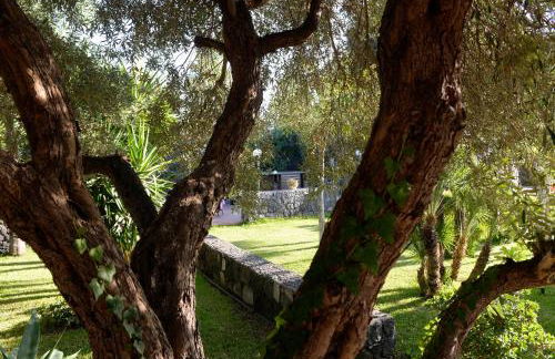 Borgo Barone - Foto 56