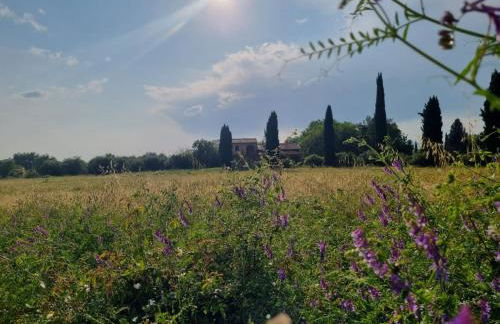 CASA MAIRA IN CENTRO A SATURNIA - Foto 9