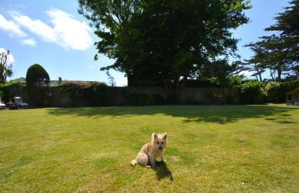 6 Bed in Padstow oc-p00774 - Foto 38