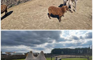 Apartman Batuda,moderno opremljen apartman u centru Đurđevca, u cijeni WELLNESS, sauna, bazen u obližnjem hotelu, mini zoo, 5G internet, R1 račun - Foto 27