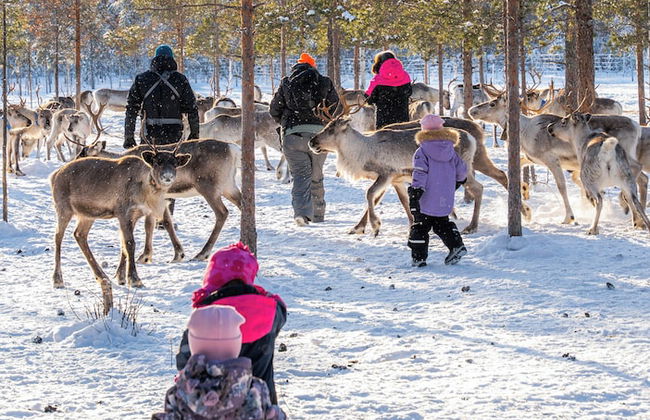 The Elegant Haistila - Foto 77