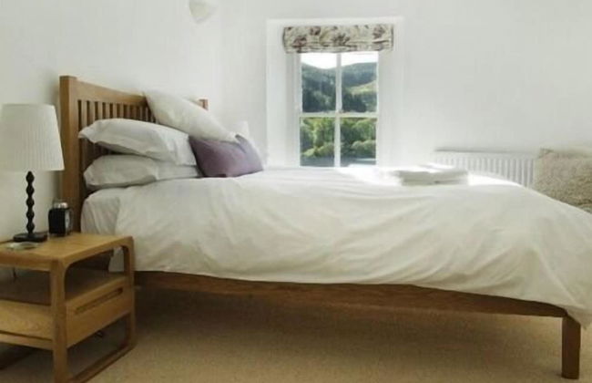 Bronfelin & Troed-y-rhiw Holiday Cottages - Foto 4