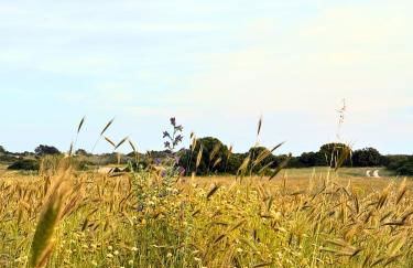 Residence Pietrantonio - Foto 17