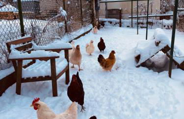 ökologisch Wohnen im Grünen - Foto 27