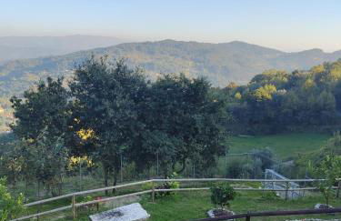 A Casa da Japoneira CB - Foto 29