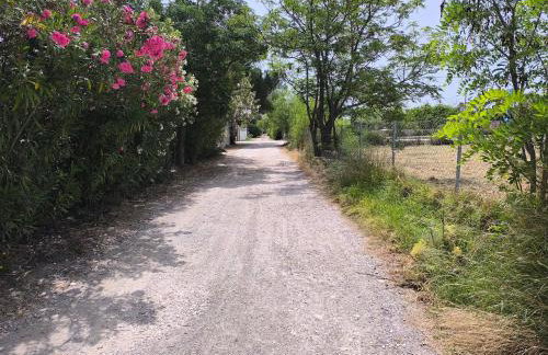 Seaside Glow - Foto 27