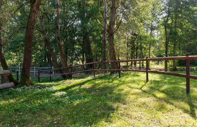 Ferienhaus in Eschede - Foto 29