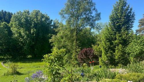 2 Personen Appartement Sonnental - Foto 4