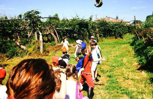 Agriturismo Podere dei kiwi - Foto 45