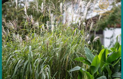 Ihr Rückzugsort im Allgäu Ferienwohnungen mit Herz & Aussicht - Photo 32