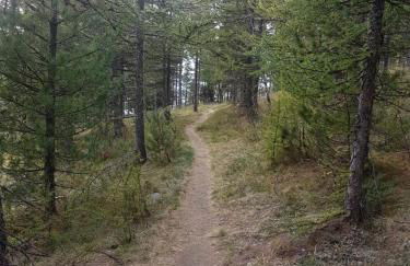 Belle villa calme à la montagne - Foto 20