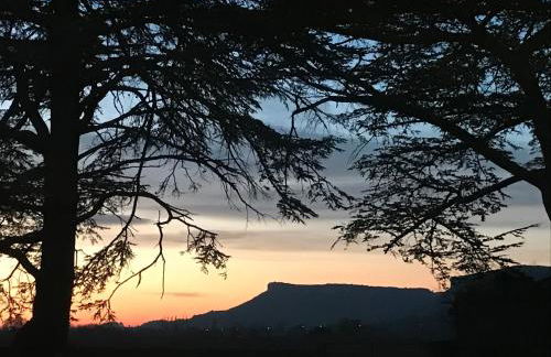 A l Aube du Midi - Foto 40