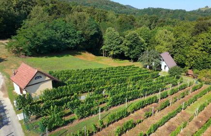 The Cozy Chalet - Foto 54