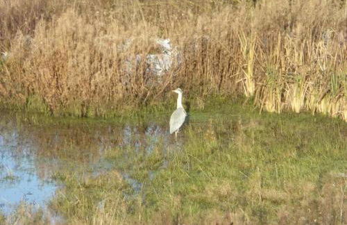 Blackside Cottage - A Luxury Rural Retreat - Foto 37