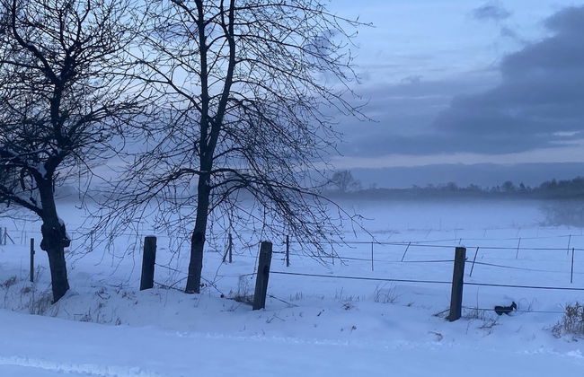 Gemutliche Unterkunft in Eschede - Foto 40