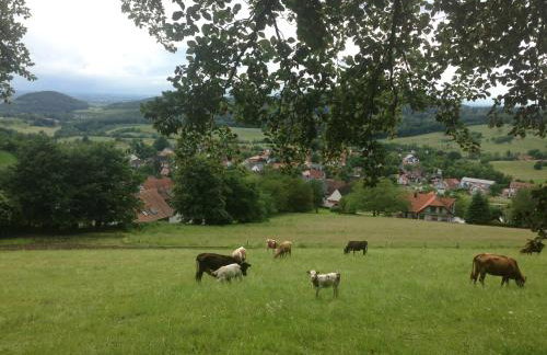 Familien-Appartement Schwarzwald bei Freiburg mit bis zu 4 Schlafzimmern - Foto 40