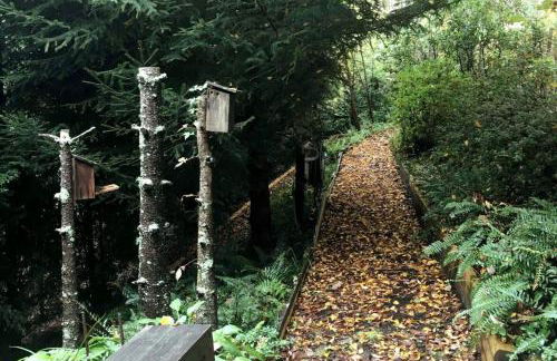 Secret Garden Getaway - Apartment in Asheville near the Great Smokey Mountains! - Foto 40