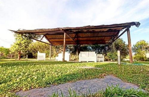 Lusitaurus - Foto 20