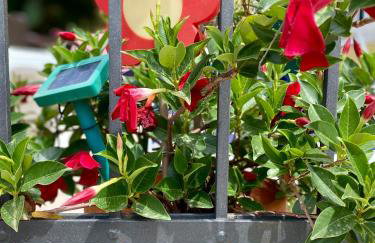 Apartments Atila - Foto 13