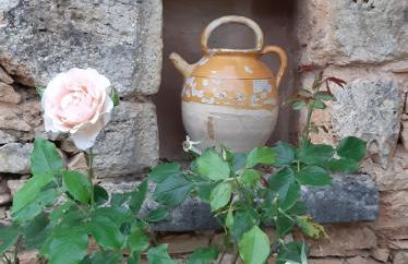 Charmant studio dans maison d'hôte dans un écrin de verdure - Foto 10