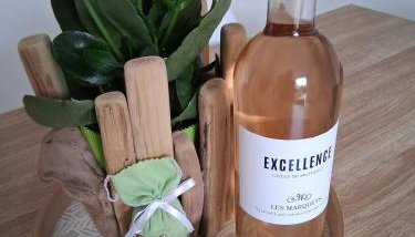 Rez de Jardin d'une Bastide VILLA LA GARDI avec Piscine privée - Foto 4