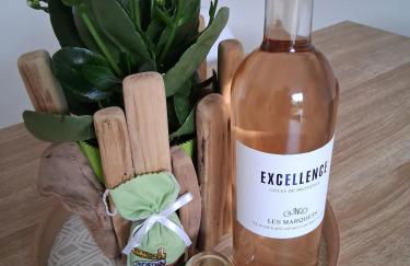 Rez de Jardin d'une Bastide VILLA LA GARDI avec Piscine privée - Foto 3