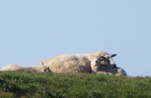 Ferienwohnung Nowara - Foto 19