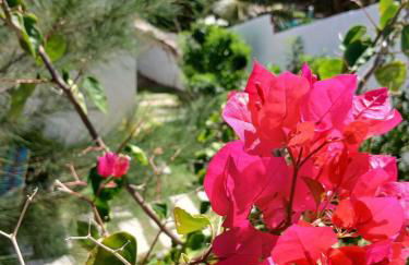 Bangalô Exclusivo Pontal do Maceió - Foto 37