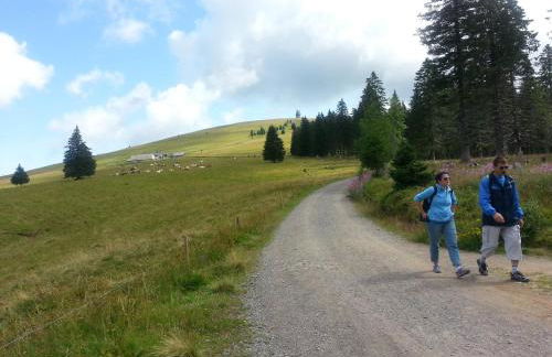 Appartement Rehblick - Foto 59