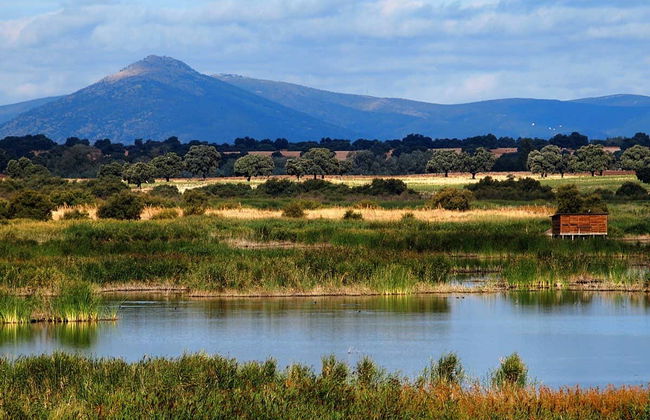 Senderismo por las Tablas de Daimiel - Foto 1