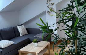 Apartamentos Suites Olmedo - Foto 12