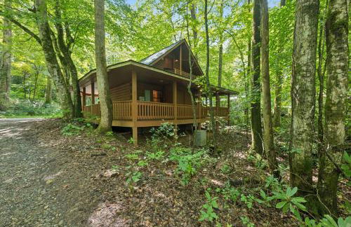 Cozy Creekside Cabin with Wraparound Porch home - Foto 27