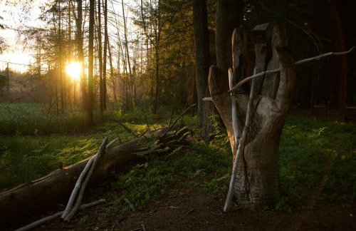 Maciejówka Borki 33 - Foto 43