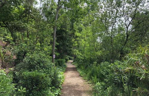 L'Ophélie - Foto 27