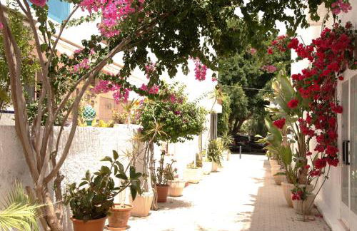 CasArena Agua Amarga - Foto 20