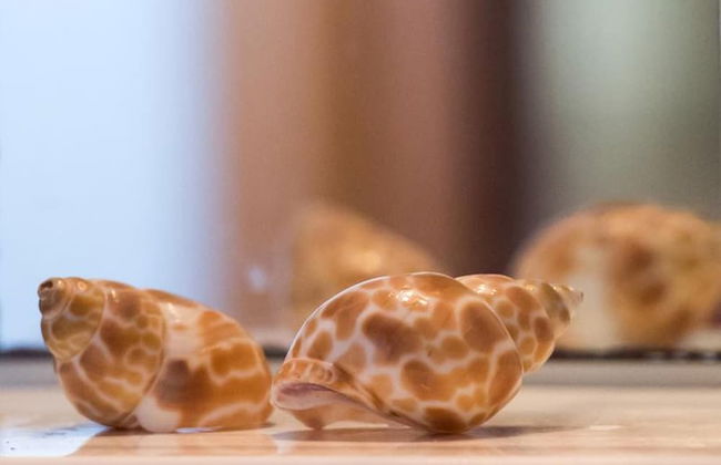 Manoleas Villas - Apartment 8 - Foto 33