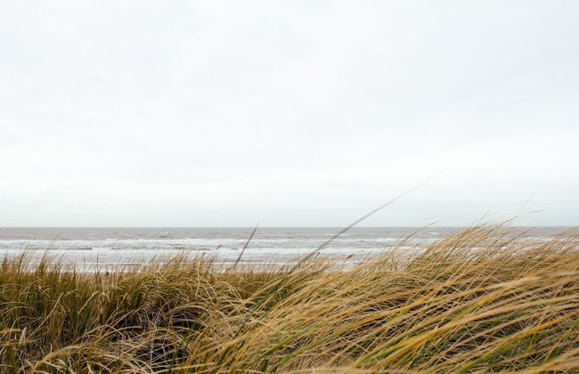 Semi-detached, Luxury Villa With 3 Bathrooms, sea at 400 m - Foto 59