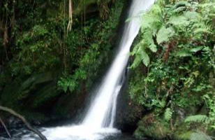 La campa de Faedo-Tonin - Foto 49