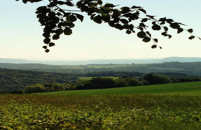 Elegante Ferienwohnung im Schwarzwald, Gorwihl - Foto 31