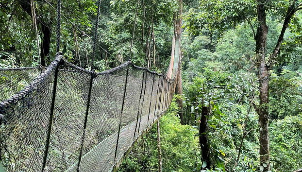 Rainmaker Park Hiking Tour - Foto 3