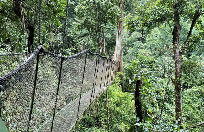 Trilha pela reserva Rainmaker - Foto 3