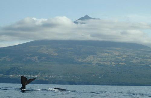 Casa do Cais - Photo 36