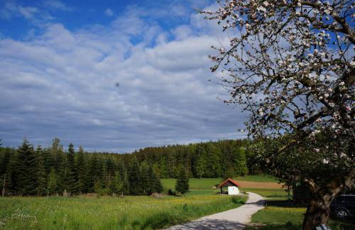 Ferienwohnung auf dem Land, Haus Hans Stepha - Foto 26