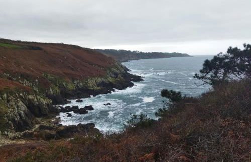 Port Rhu Appartement 4 personnes - Foto 5