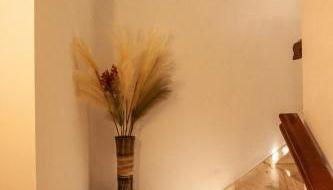 Casanova - Photo 4, Lobby or reception