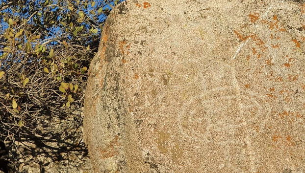 Veremos diferentes pictogramas tallados en la piedra