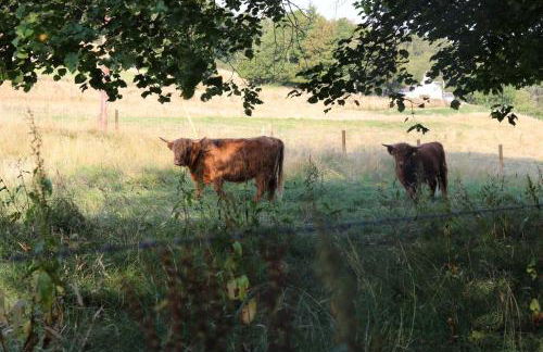 The Gardeners Cottage - Foto 8